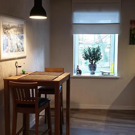 Remarkable Studio Apartment Lejlighed Vilnius