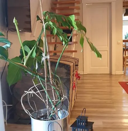 Appartement Remarkable Studio Apartment Vilnius